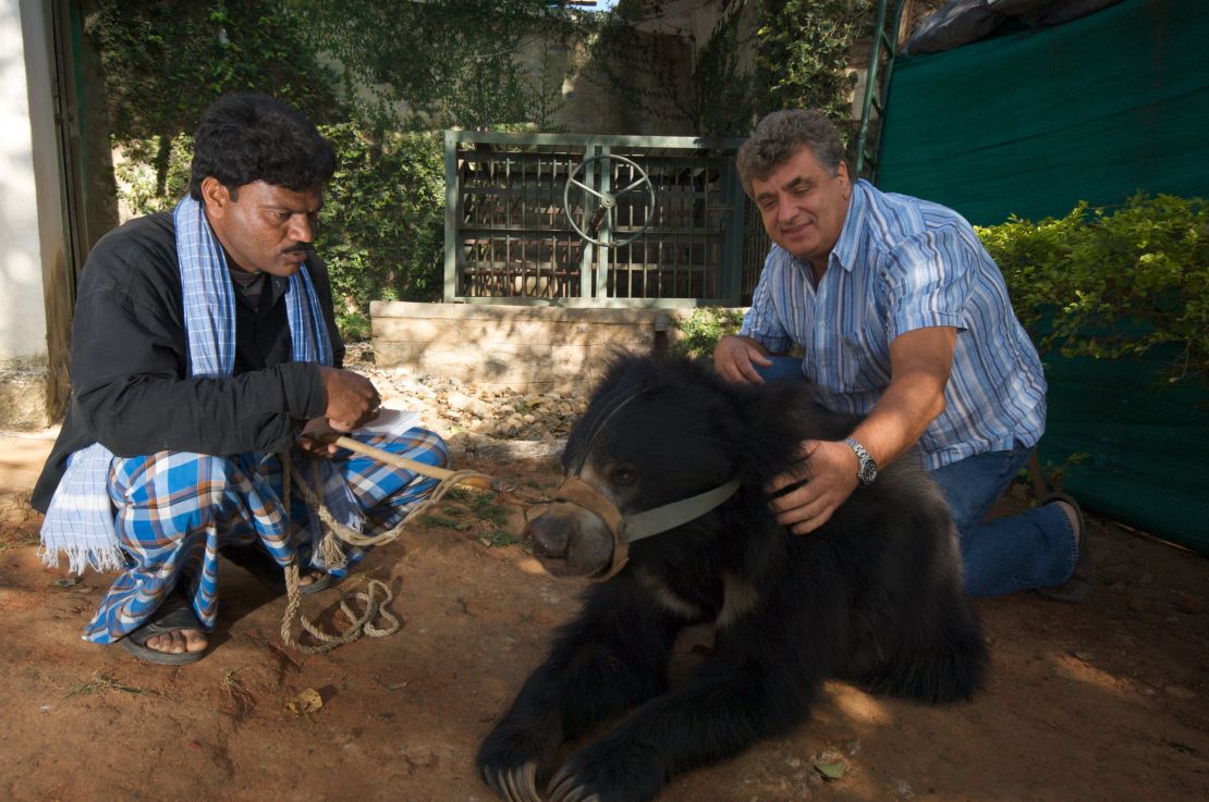 Alan scratching a sloth bear about to be surrendered