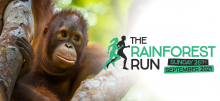 Rainforest Run 2021